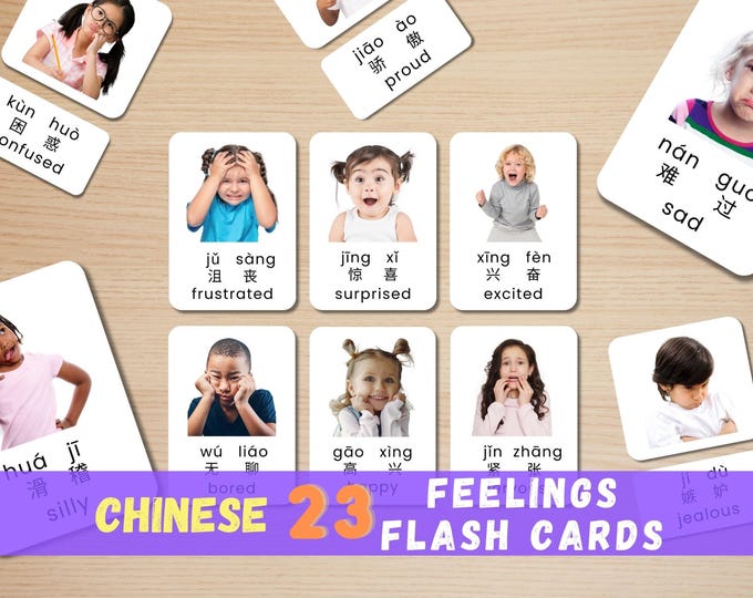 Chinese Emotion Flashcards: Bilingual Montessori Learning (Digital Download)