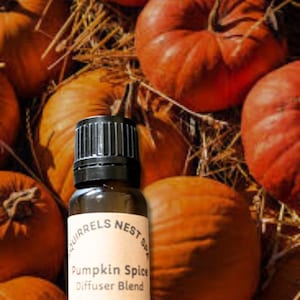 May include: A brown glass bottle with a black cap, labelled "Squirrels Nest Spa Pumpkin Spice Diffuser Blend", is set against a backdrop of orange pumpkins. The pumpkins vary in size and shape, creating a harvest theme.