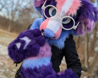 Ready to Ship Dog Fursuit Partial – Premade Canine Head, Paws & Tail
