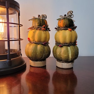 Adorable Topiary pumpkin stacked decorations green yellow orange indoor centerpiece fall halloween harvest tabletop trendy unique farmhouse