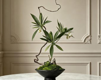 Minimalist 23.6" Tall Ikebana Arrangement, Sculptural Zen Bonsai with Twisting Branch, Wabi-Sabi Desk or Entryway Decor in Black Bowl
