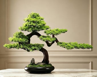 May include: A bonsai tree with vibrant green needle-like foliage and a dark brown, curved trunk. The tree is planted in a smooth, black, shallow oval ceramic pot, featuring a small grey stone at the base of the trunk amidst green moss.