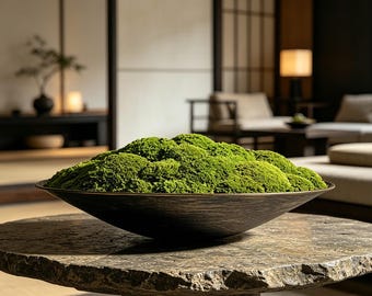 May include: A large, dark brown bowl filled with vibrant green moss sits on a textured stone table. The bowl's shape is wide and shallow, contrasting with the lush, textured moss. The scene is set in a well-lit, minimalist interior.