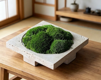 May include: A square, light gray, porous stone planter featuring a circular center filled with vibrant, textured green moss. The planter has a thick, flat rim and is supported by four small, block-shaped feet at the corners of its base.
