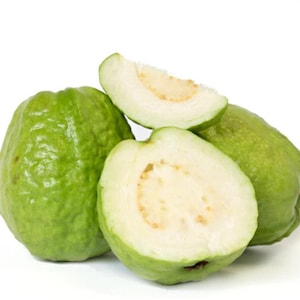 Fresh Homegrown White Guava (3 lb)