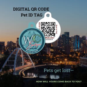 Médaille d'identification pour animal de compagnie avec code QR pour chiens et chats