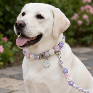 May include: A light-colored dog wearing a braided collar featuring pastel pink, blue, and white fabric flowers with pearl centers. A silver metal buckle and a round silver tag engraved with the name LUCKY and a flower icon are attached to the collar.