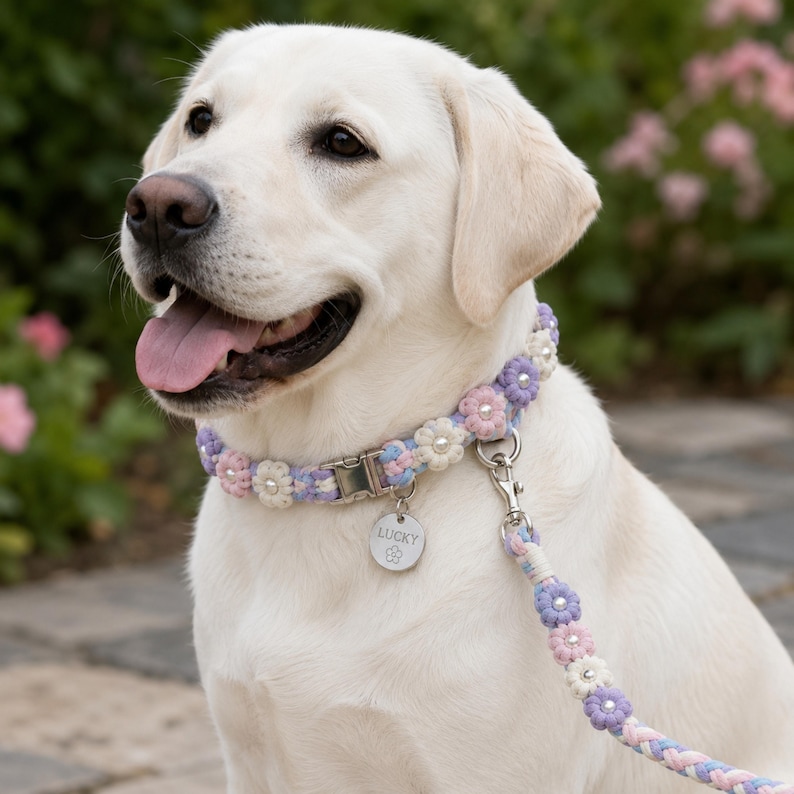 May include: A light-colored dog wearing a braided collar featuring pastel pink, blue, and white fabric flowers with pearl centers. A silver metal buckle and a round silver tag engraved with the name LUCKY and a flower icon are attached to the collar.