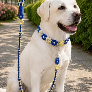 May include: A dog collar and matching leash set featuring a braided blue and yellow cord design. The collar and leash are decorated with small blue and yellow flower-shaped accents, each centered with a white pearl-like bead and a metal clip.