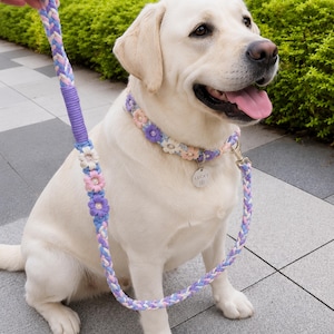 May include: A braided dog leash and matching collar set in pastel purple, pink, and white. The collar and leash feature decorative fabric flowers with pearl centers. A silver metal tag engraved with the name LUCKY hangs from the collar.