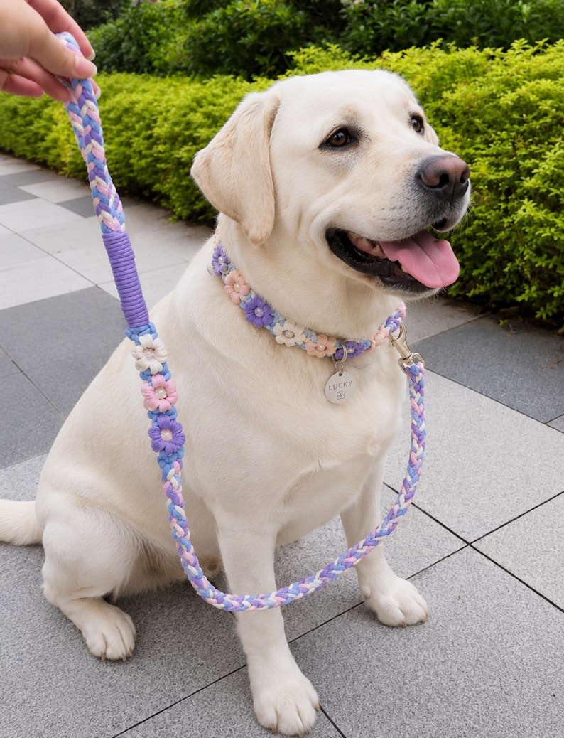 May include: A braided dog leash and matching collar set in pastel purple, pink, and white. The collar and leash feature decorative fabric flowers with pearl centers. A silver metal tag engraved with the name LUCKY hangs from the collar.