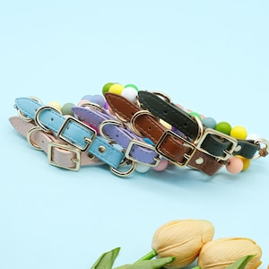 Personalized Buckle Beaded Dog Collar with, Custom Dog Cat Name Collar, Custom Pet Necklace， Luminous Beads, Stylish Gift for Cats & Dogs