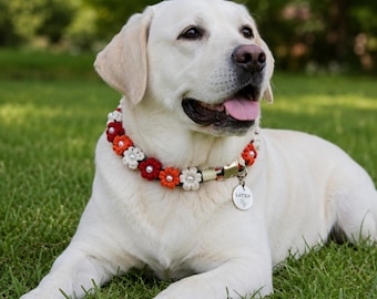 May include: A light-colored Labrador dog wearing a decorative collar adorned with small, crocheted red, orange, and white flowers, each featuring a central white pearl bead. The collar includes a silver-toned metal buckle and a round silver tag.