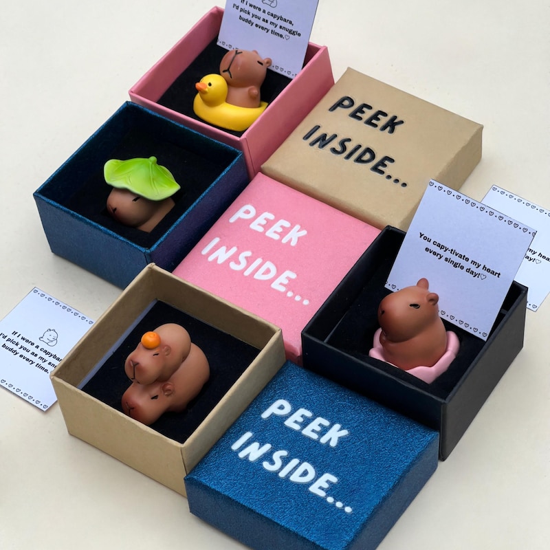 Capybara Valentine Box - Etsy