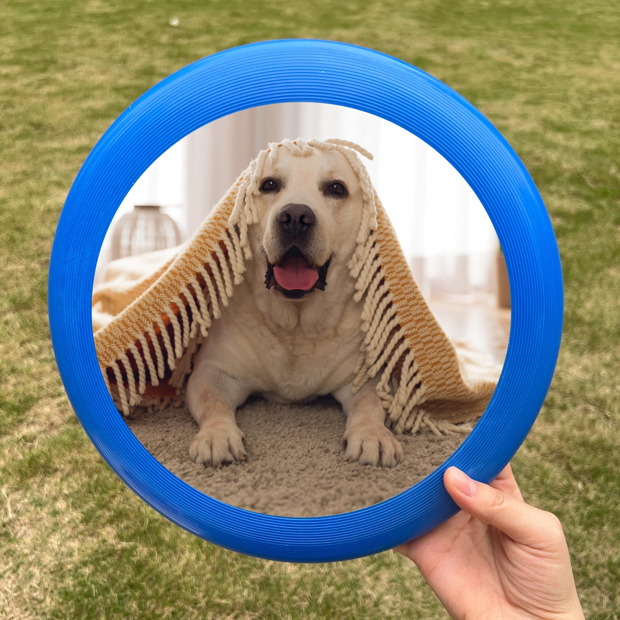Personalized Flying Disc, Custom Logo Frisbee, Outdoor Game, Pet Toy - Etsy