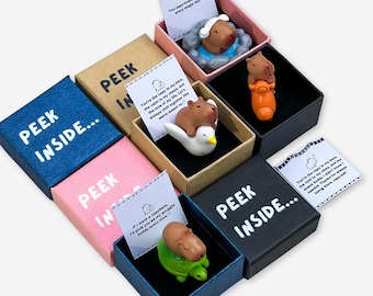 Capybara Figurine Gift Box, Pocket Hug, Blindbox Surprise
