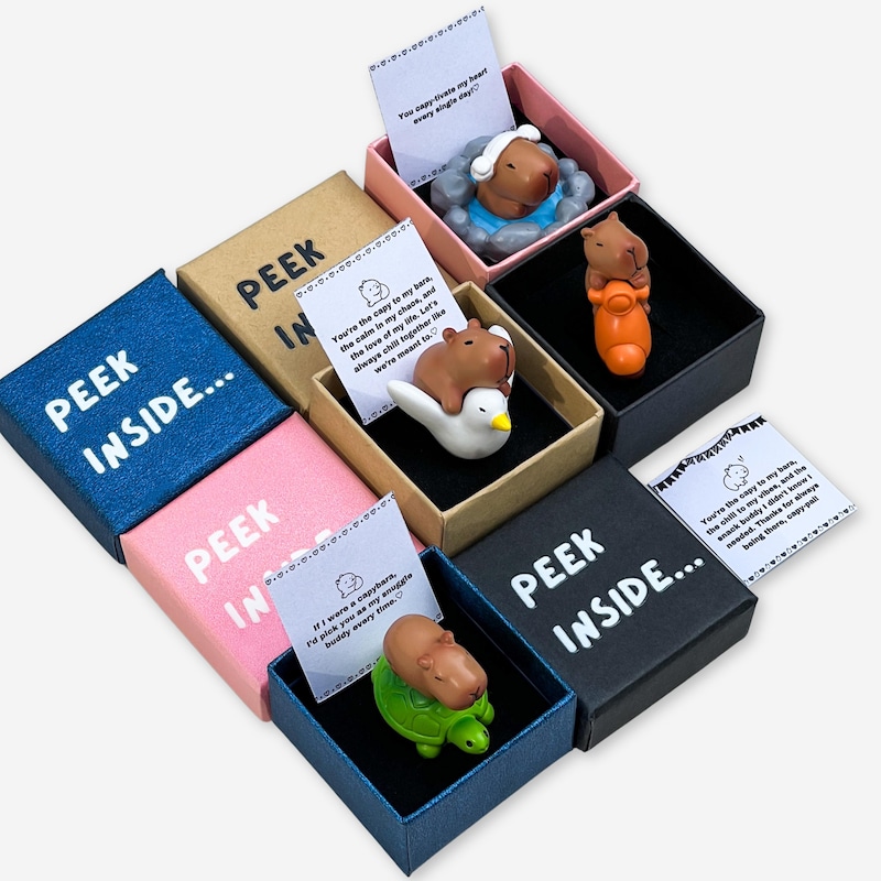 Capybara Surprise Box - Etsy