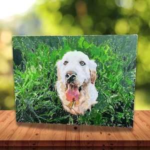 Kit di pittura personalizzata con i numeri, pittura fai da te con i numeri, ritratto di animali domestici personalizzato, dipingi la tua foto, kit per principianti adulti, regalo, pittura fotografica personalizzata