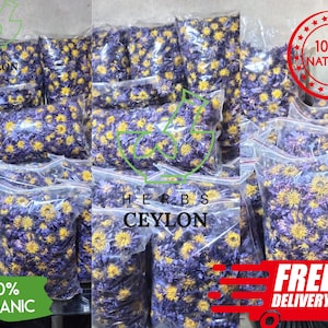 Flores de Lótus Azul Egípcia 100% Orgânicas – Inteiras e Trituradas | Nymphaea caerulea | Lótus Aquático Sagrado | Lírio Aquático Sagrado Azul | Lótus Sagrado