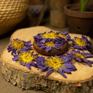 Egyptian Blue Lotus Flowers: Sacred water lily,  Tea Herb, 1000g