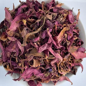 Dried Ceylon Natural Red Lotus flowers, Nymphaea Rubra Flowers, Red water lily flowers Herbal Tea | Ceylon Organic