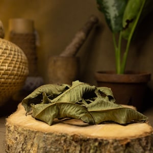 1000+ Guava Leaves, Dried Guava Leaves | Ceylon organic