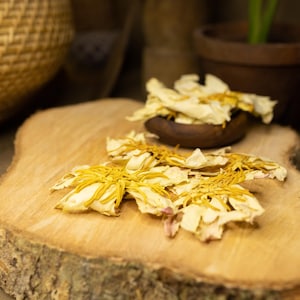 100% Organic Egyptian White Lotus Flowers~Whole Flowers & Crushed Flowers Nymphaea AMPLA Sacred water lotus~Sacred Lotus~Sacred Water Lily