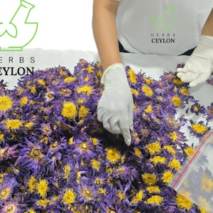 1000 g blauwe lotusbloemen | Gedroogde Nymphaea Caerulea-bloemblaadjes | Natuurlijk botanisch voor thee, bad en ambachtelijk gebruik |  Gedehydrateerd| Biologisch