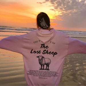 May include: Pink hoodie with a black graphic print of a sheep and the text "The Lost Sheep" with a Bible verse from Matthew 18:11-13.