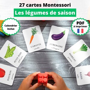 Nomenclature Montessori et calendrier des légumes de saison | Cartes éclairs à imprimer | Vocabulaire en français pour enfant et enseignant
