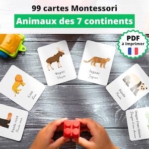 Printable Montessori Nomenclature - Animals from the 7 Continents | Educational Flashcards for Children | French Vocabulary