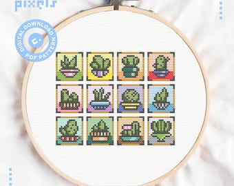 Succulent Cross Stitch Pattern - House plants Embroidery - Cactus Cross Stitch Chart - Beginner Friendly - PDF Instant Download