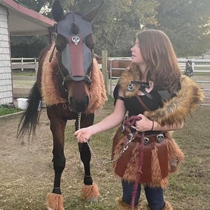 Handcrafted Viking Cosplay Supplies, HTTYD Bird Skulls and Spikes, Equestrians Costumes, How To Train Your Dragon DIY Costumes