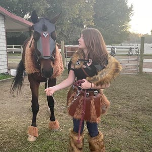 Viking Cosplay Supplies, Handmade HTTYD Bird Skulls and Spikes for Equestrians Costumes, How To Train Your Dragon DIY Costumes