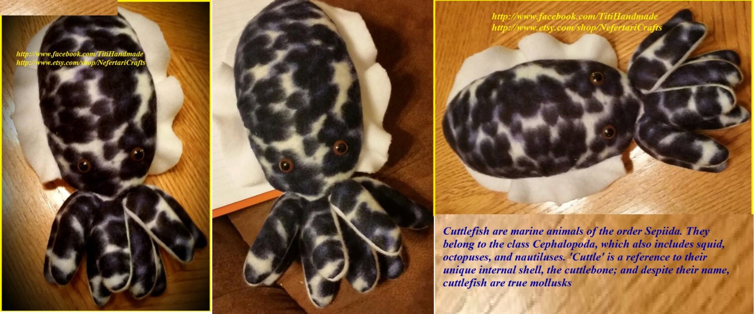 Cuttlefish Plush, Cuttle Fish to Cuddle, Hand Crafted Sea Animals ...