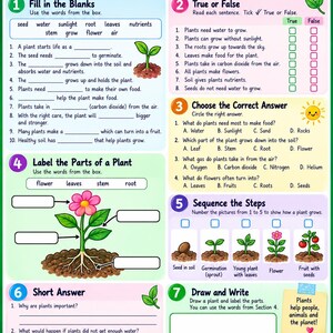 以下が含まれることがあります： How Do Plants Grow?というタイトルの教育用ワークシート。穴埋め問題、正誤問題、多肢選択問題、植物の部位の名称記入、成長段階の順序付け、記述式問題、描画スペースなど、7つのセクションで構成されています。
