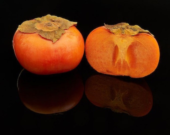 Free shipping - fuyu persimmon tree - 3 to 4ft tall 3/4 inch trunk ship in 3 gallon pot