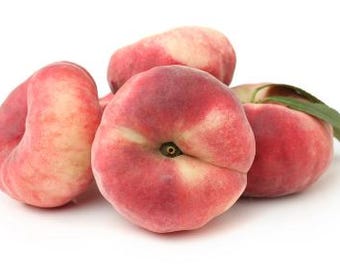 Free shipping - Donut Saturn white peach tree  3 to 4ft tall 3/4 inch trunk ship in 3 gallon pot