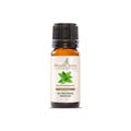 Melissa (Lemon Balm) Essential Oil | 100% Pure, and Natural | Therapeutic Grade Premium Oils for Aromatherapy & Diffuser - 5 ML To 1000 ML product logo