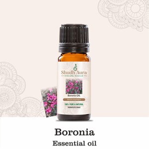Puede incluir: Botella de vidrio &aacute;mbar de aceite esencial de Boronia con tapa negra. La etiqueta presenta una foto de flores de Boronia rosas y el texto "Shudh Aura - Ethically Sourced". Tambi&eacute;n son visibles las palabras "Boronia Oil" y "100% Pure & Natural". Las palabras "Boronia Essential oil" est&aacute;n en la parte inferior.