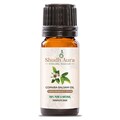 Copaiba Essential Oil - Balsam, 100% Pure, Natural, Undiluted & Therapeutic Grade Oils for Aromatherapy, Diffuser, and DIY - 5 ML To 1000 ML product logo