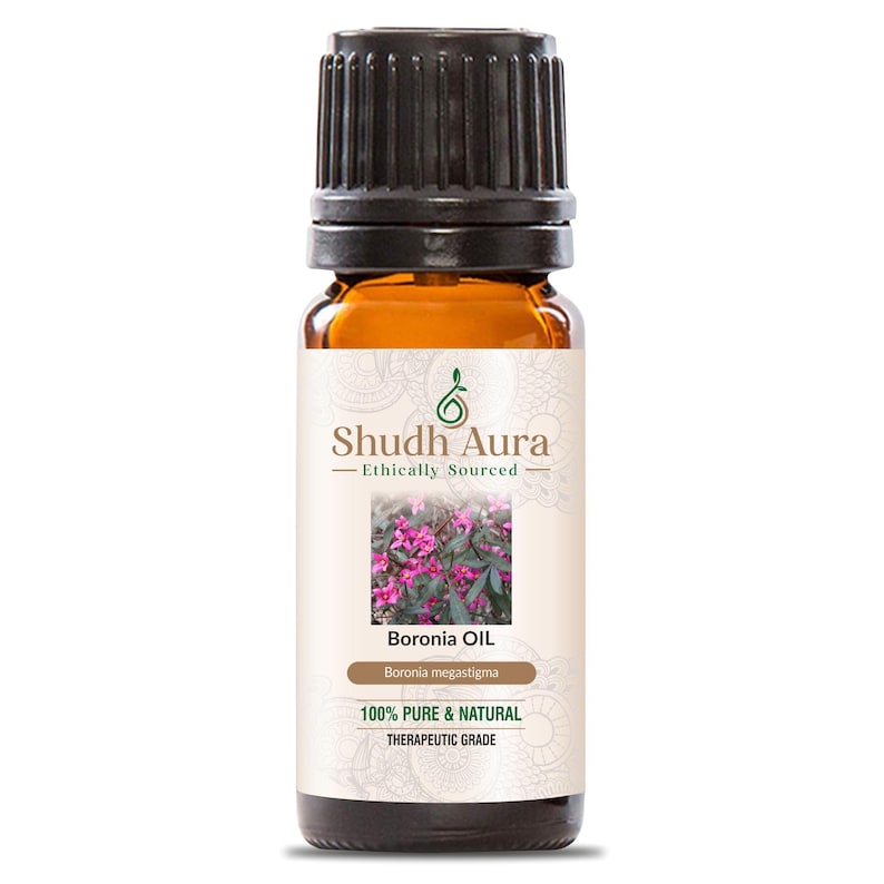 Puede incluir: Una peque&ntilde;a botella de vidrio &aacute;mbar de aceite de Boronia con una tapa negra. La etiqueta dice "Shudh Aura - Ethically Sourced" e incluye el texto "Boronia Oil" y "100% Pure & Natural Therapeutic Grade". Una foto de flores rosas est&aacute; en la etiqueta.