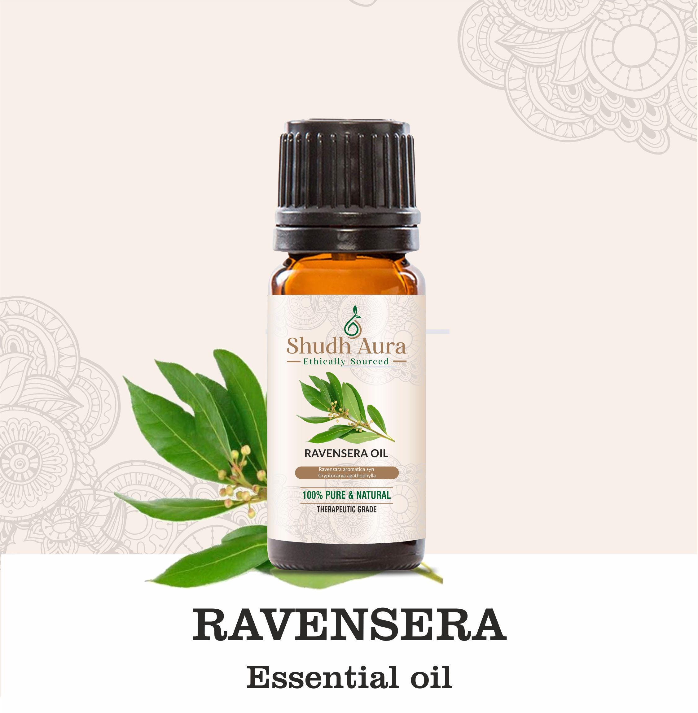 Ravensara Ravensara Essential Oil | 100% Pure, Natural, and Undiluted ...