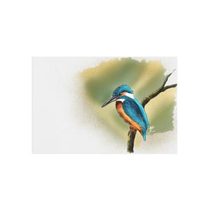 Cartoline, cartolina con illustrazione digitale del martin pescatore, regalo per gli amanti degli uccelli, stampa artistica della natura, set di cancelleria, biglietto di auguri sulla fauna selvatica