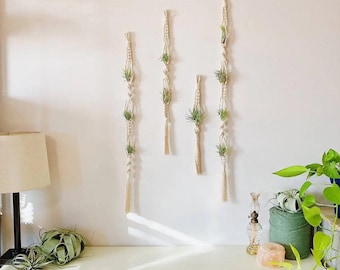 Zawieszenie Porte-Plantes en Macramé pour Plantes
