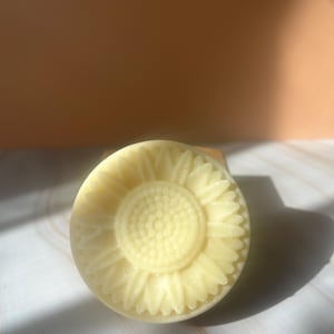 Nourishing Shampoo Bar