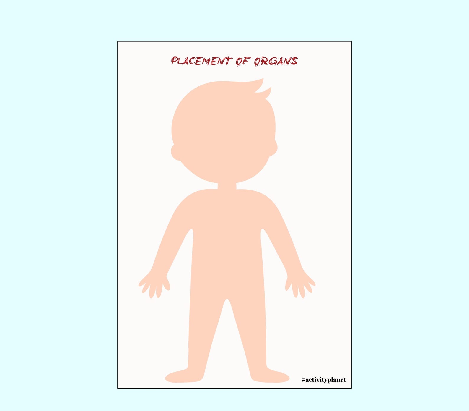 Human Anatomy Activity Unit, Printable Human Body Organ Matching ...