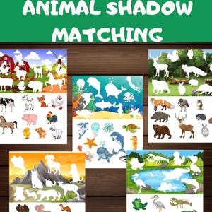 Puede incluir: Una hoja de trabajo imprimible para que los niños emparejen las siluetas de animales con sus imágenes correspondientes. La hoja de trabajo presenta animales de granja, criaturas marinas y animales del bosque.
