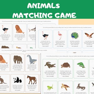 Animal Matching Cards, Animal Games, Match the Animal, Animals of the World, Animal Patterns Printable Matching, Zoo animal game, Flash Card