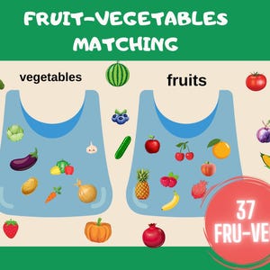 Fruit & Vegetable Sorting æctivity ,Educational Preschool Worksheets, Printable Activities Homeschool, Toddler Busy Book Matching Game